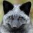 SilverFox